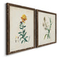 Traditional Botanical III - Barnwood Framed Canvas Set
