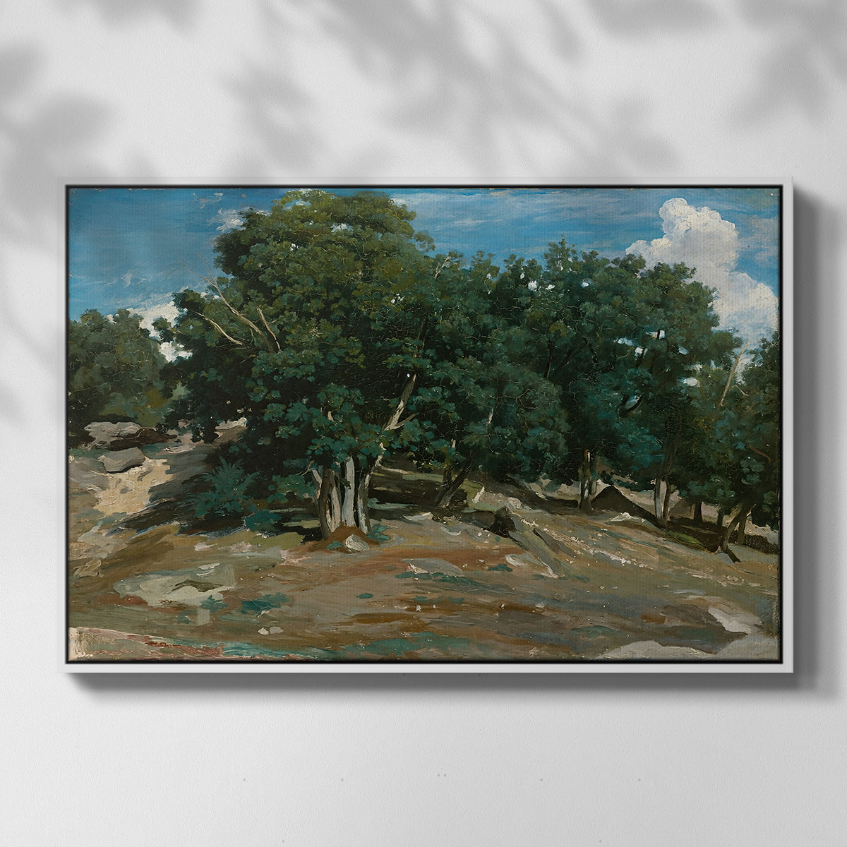 Fontainebleau: Oak Trees at Bas-Bréau, c. 1830-1835 - Floater Framed Canvas Print