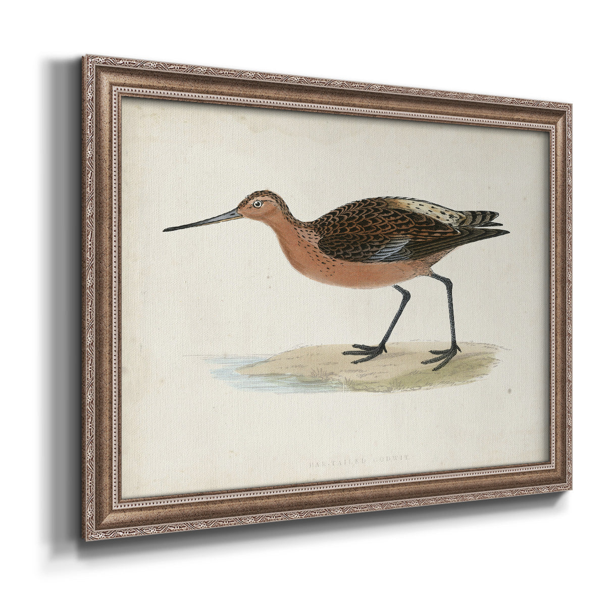 Morris Sandpipers II Premium Framed Canvas- Ready to Hang