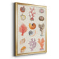 Coral & Shell Collage I -  Framed Canvas Print