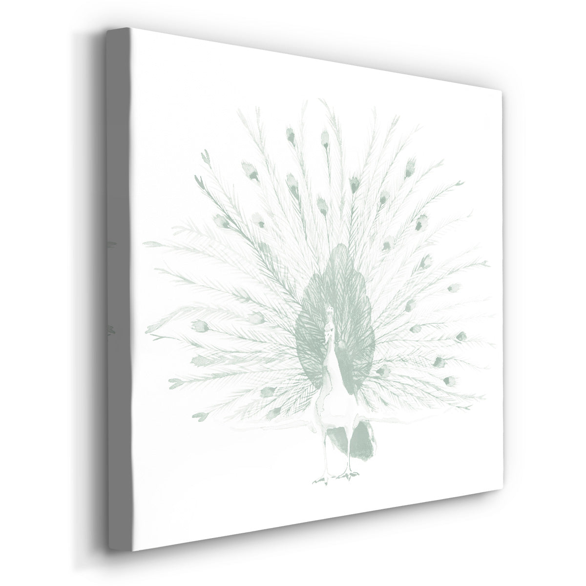 Sage Peacock II - Canvas Art Print