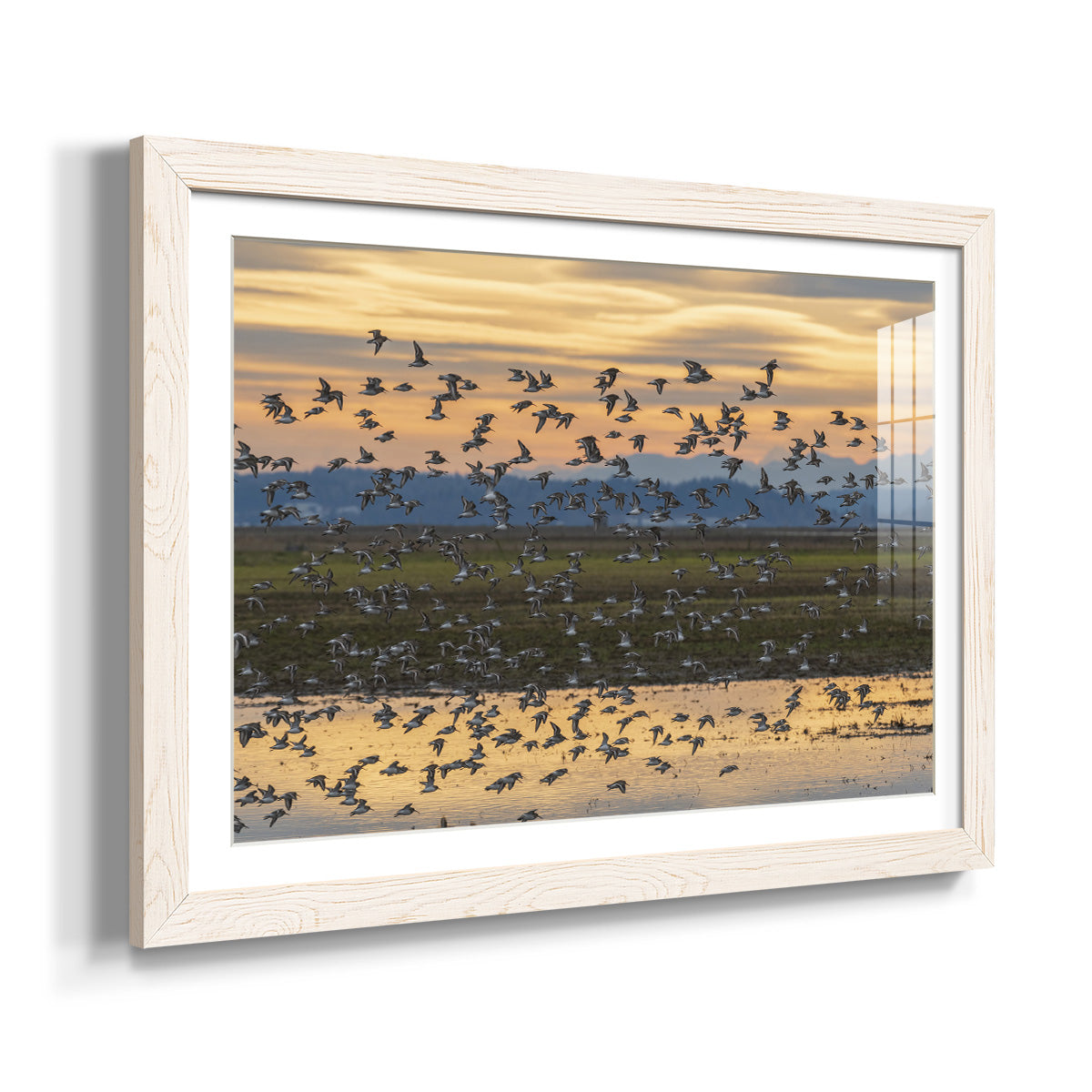 Sunset Flight - Barnwood Framed Art Print