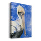 Pelican Pool I Premium Gallery Wrapped Canvas - Ready to Hang