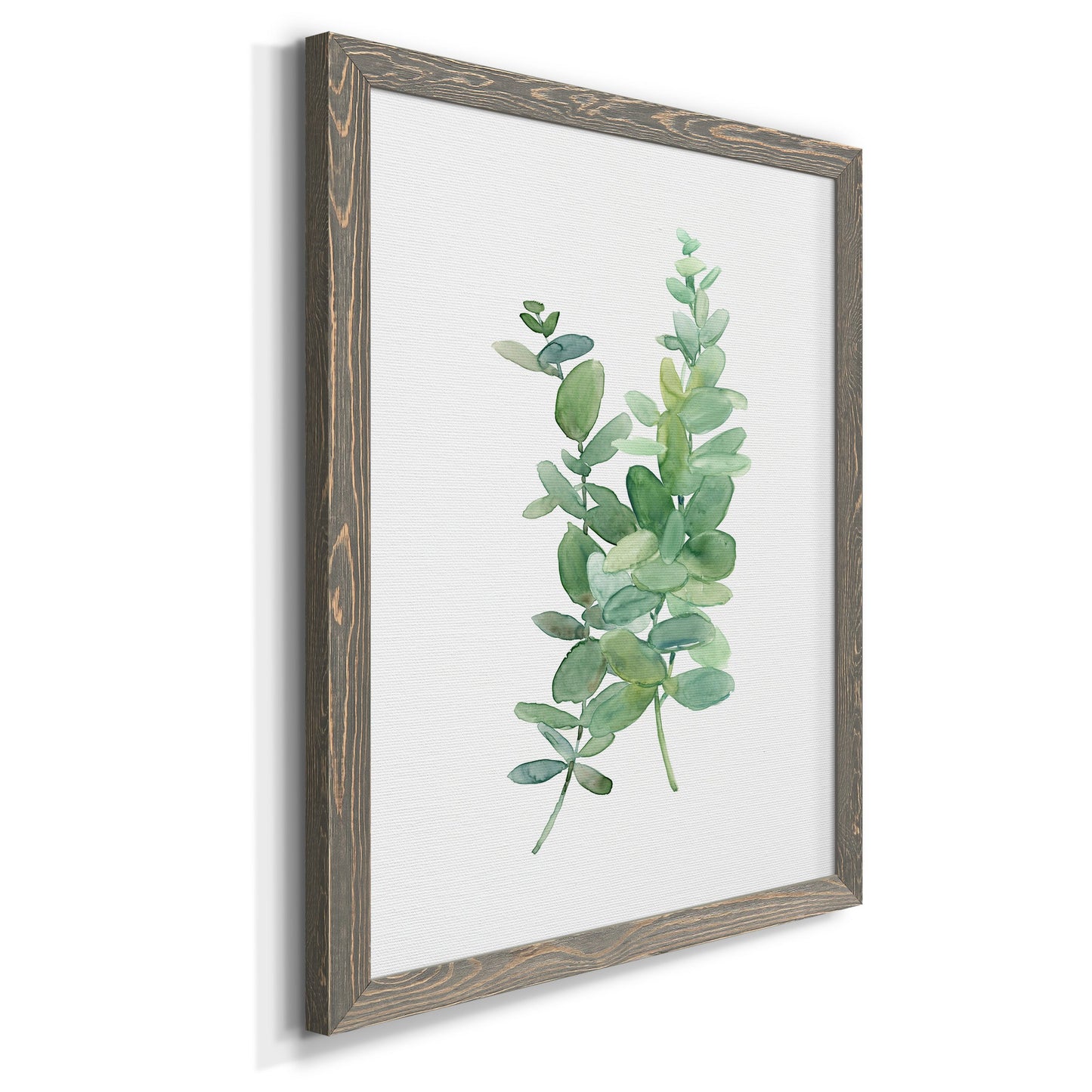 Eucalyptus I - Premium Canvas Framed in Barnwood - Ready to Hang