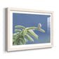 Evergreen Perch - Barnwood Framed Art Print