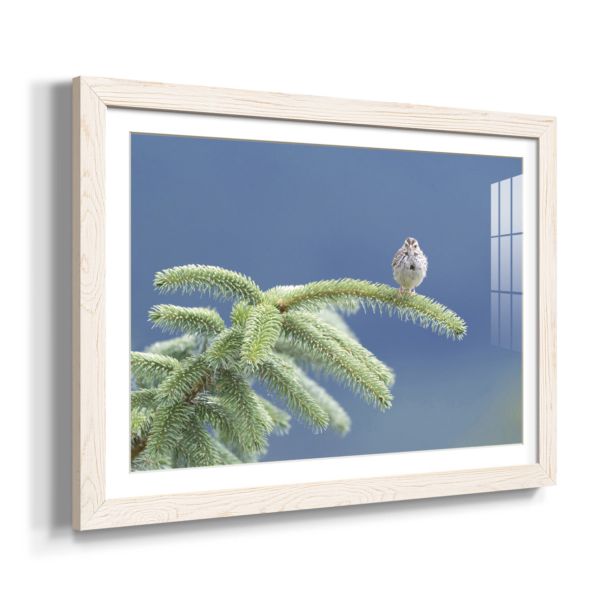 Evergreen Perch - Barnwood Framed Art Print