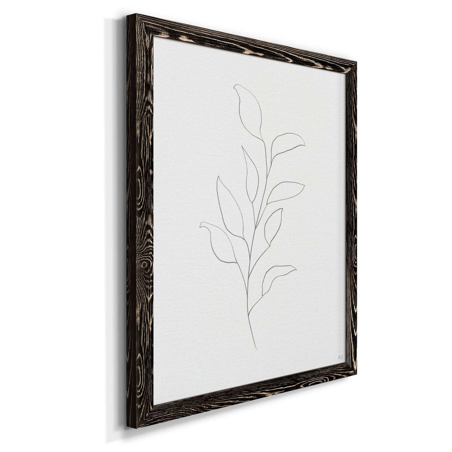 Botanical Gesture VI - Premium Canvas Framed in Barnwood - Ready to Hang