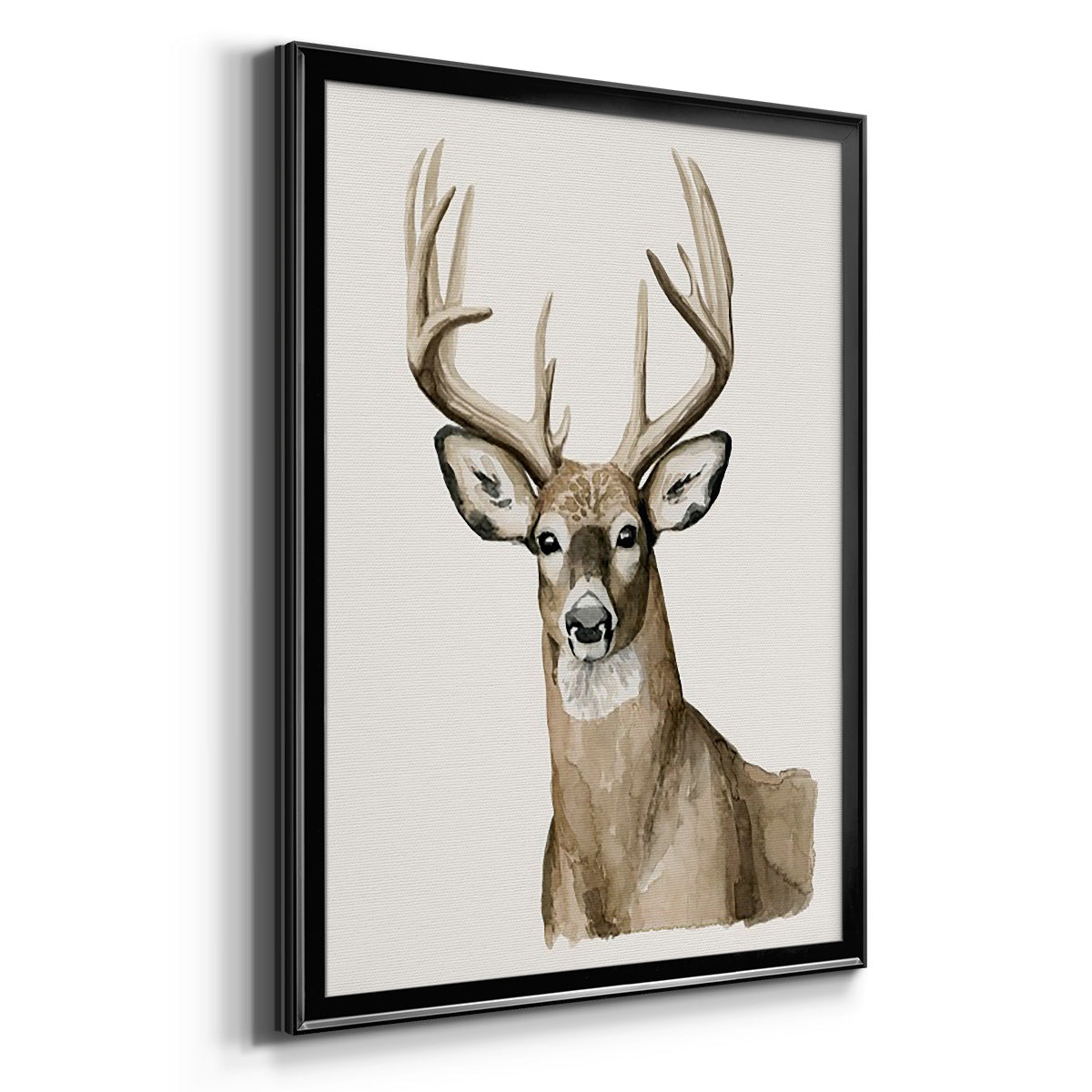 Handsome Whitetail I - Modern Framed Canvas Print