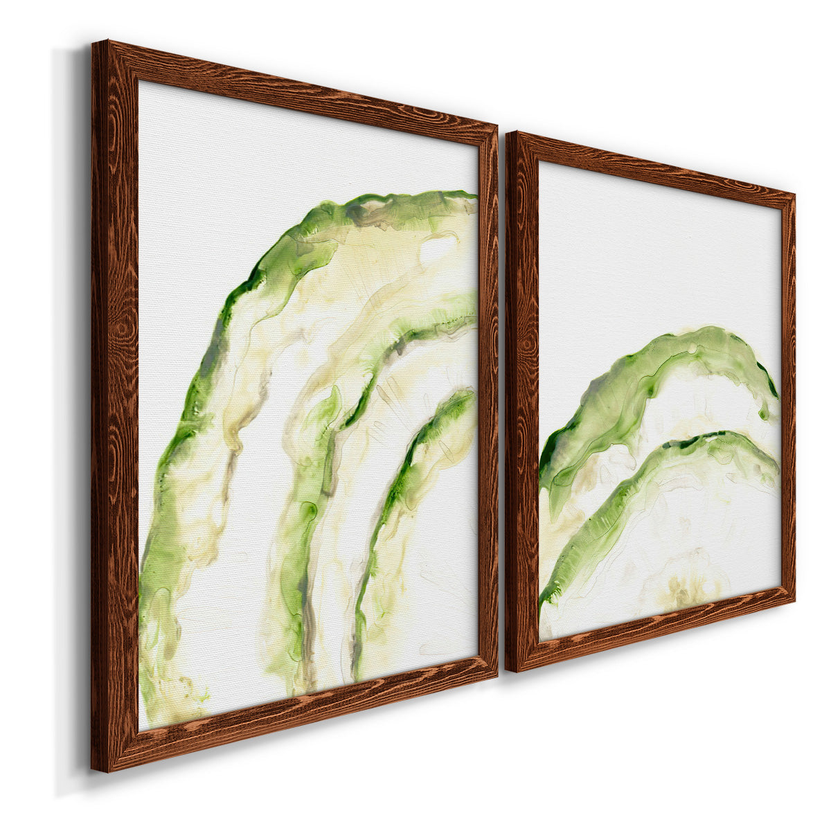 Lichen Halo I - Premium Framed Canvas 2 Piece Set - Ready to Hang