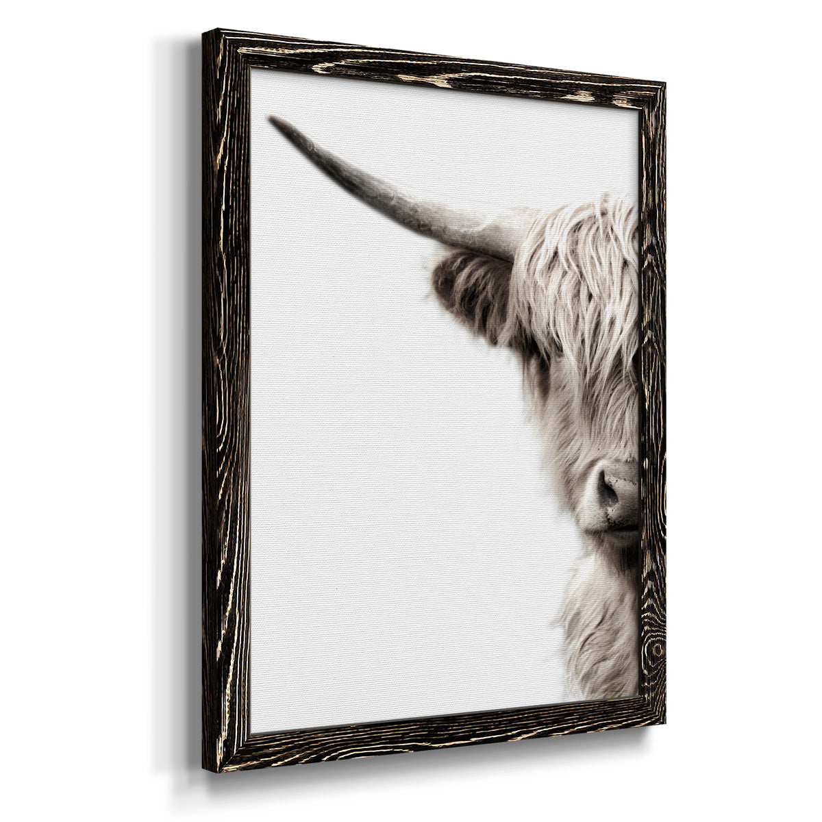 Highland Cattle - Premium Canvas Framed in Barnwood - Ready to Hang