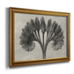 Vintage botanical plant study photograph by Karl Blossfeldt printed on canvas in an ornate traditional gold frame.