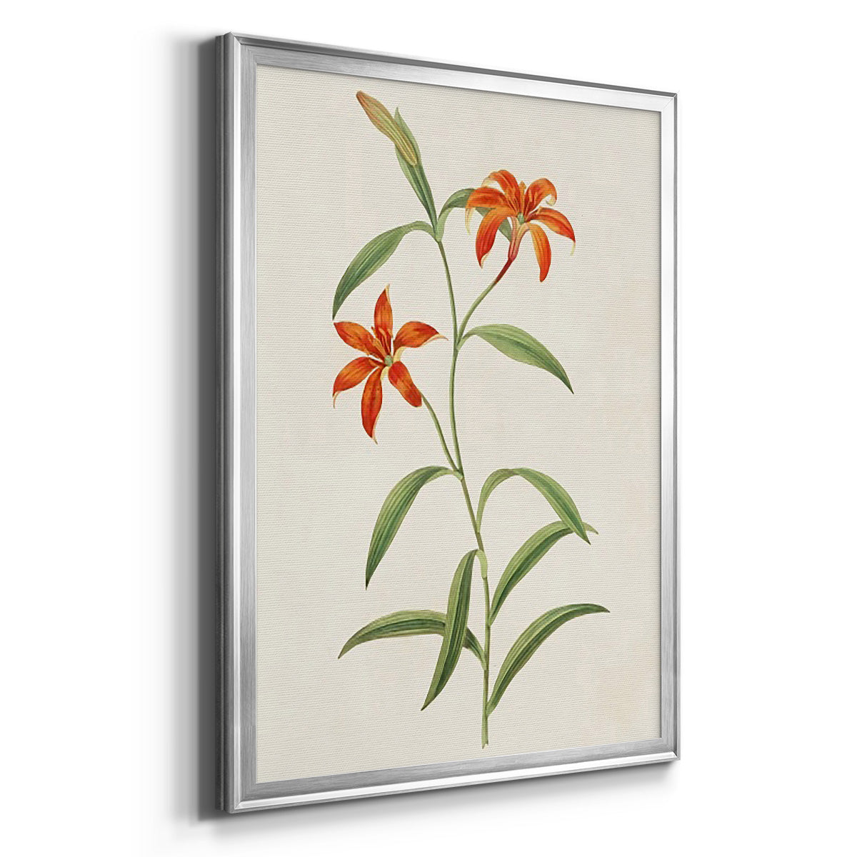 Flowers of the Seasons III - Modern Framed Canvas Print