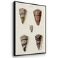 Cone Shell Collection I - Framed Premium Gallery Wrapped Canvas L Frame 3 Piece Set - Ready to Hang