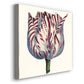 Tulip Garden VI - Canvas Art Print