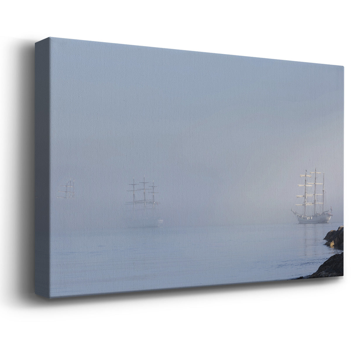 In the Mist - Canvas Art Print