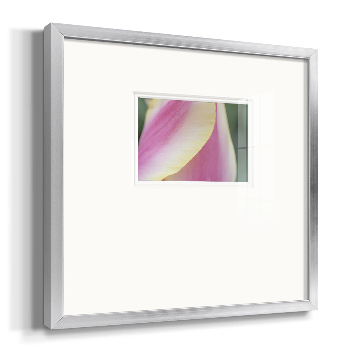 Delicate- Premium Framed Print Double Matboard