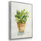 Succulent I -  Framed Canvas Print