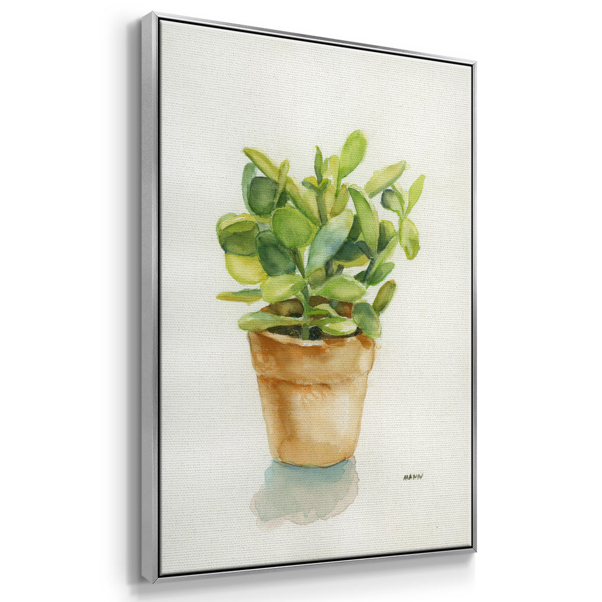 Succulent I -  Framed Canvas Print