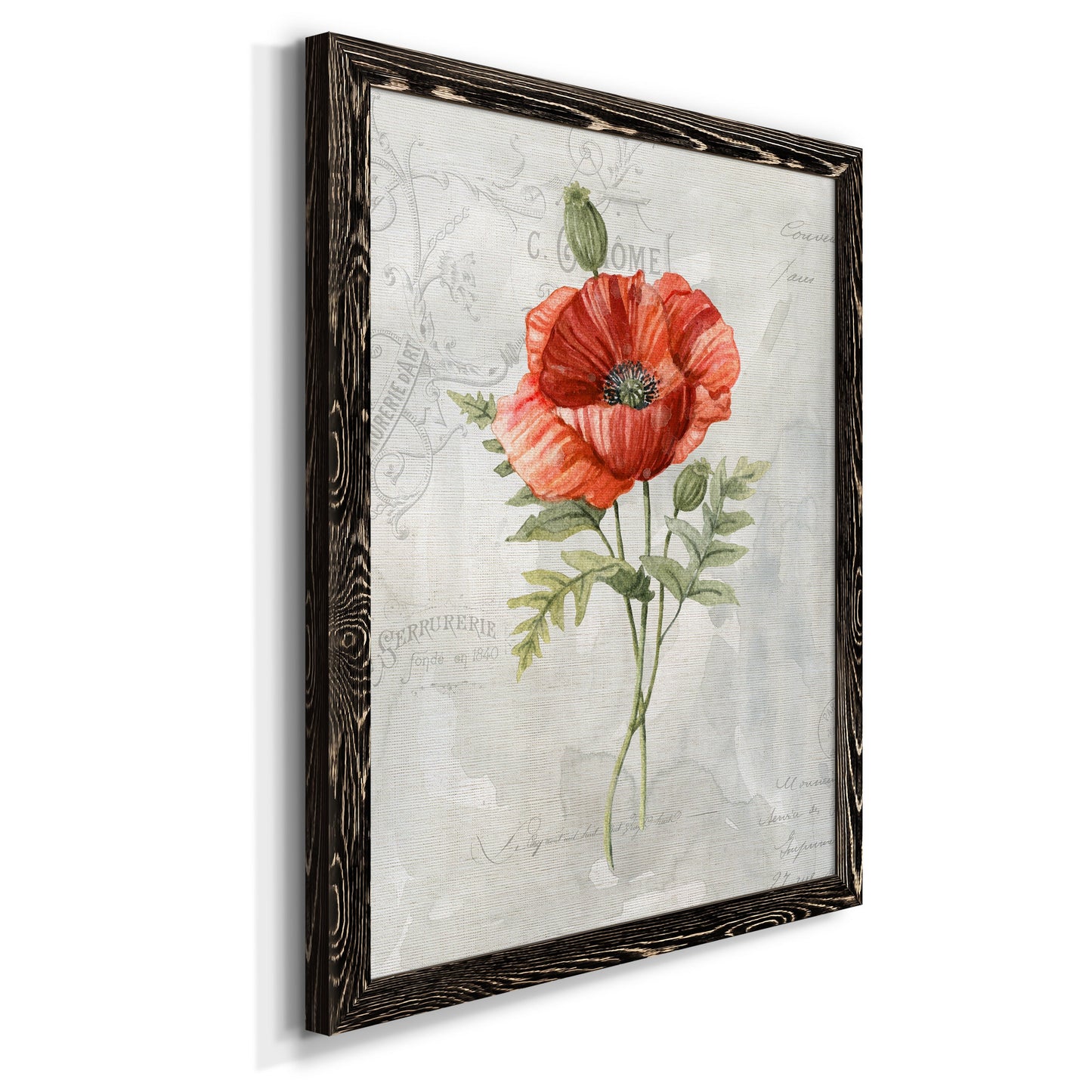 Linen Poppy - Premium Canvas Framed in Barnwood - Ready to Hang