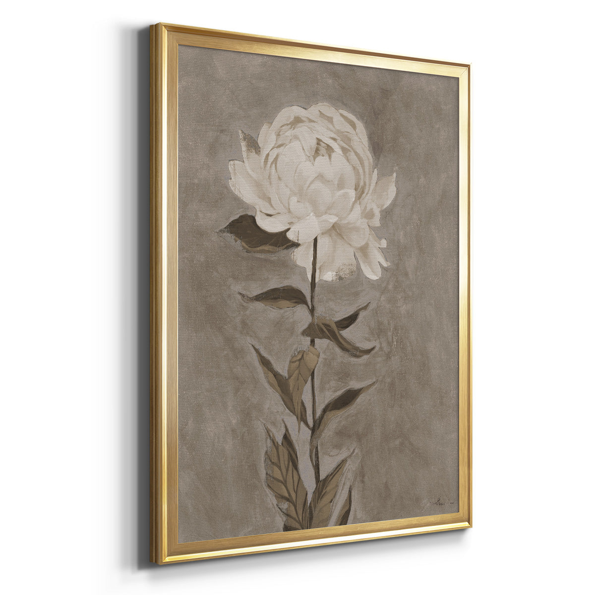 Pretty As A Peony I - Modern Framed Canvas Print
