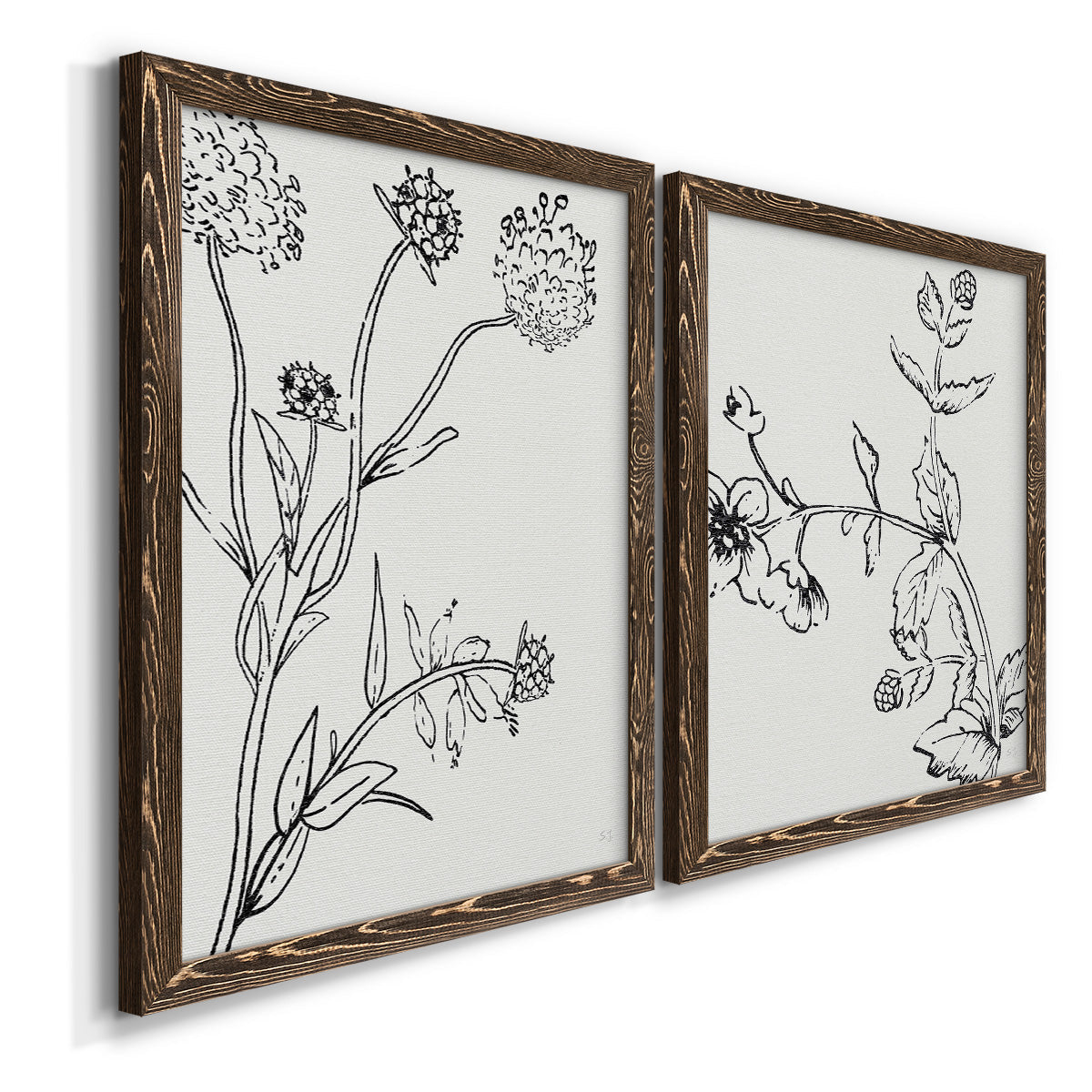 Botanical Study I   - Premium Framed Canvas 2 Piece Set - Ready to Hang