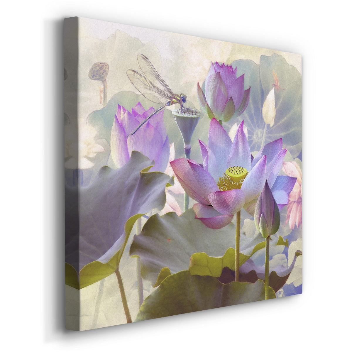 Lotus Sanctuary II - Canvas Art Print