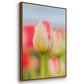 Twotone Tulip - Framed Premium Gallery Wrapped Canvas L Frame - Ready to Hang