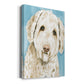 Labradoodle I - Canvas Art Print