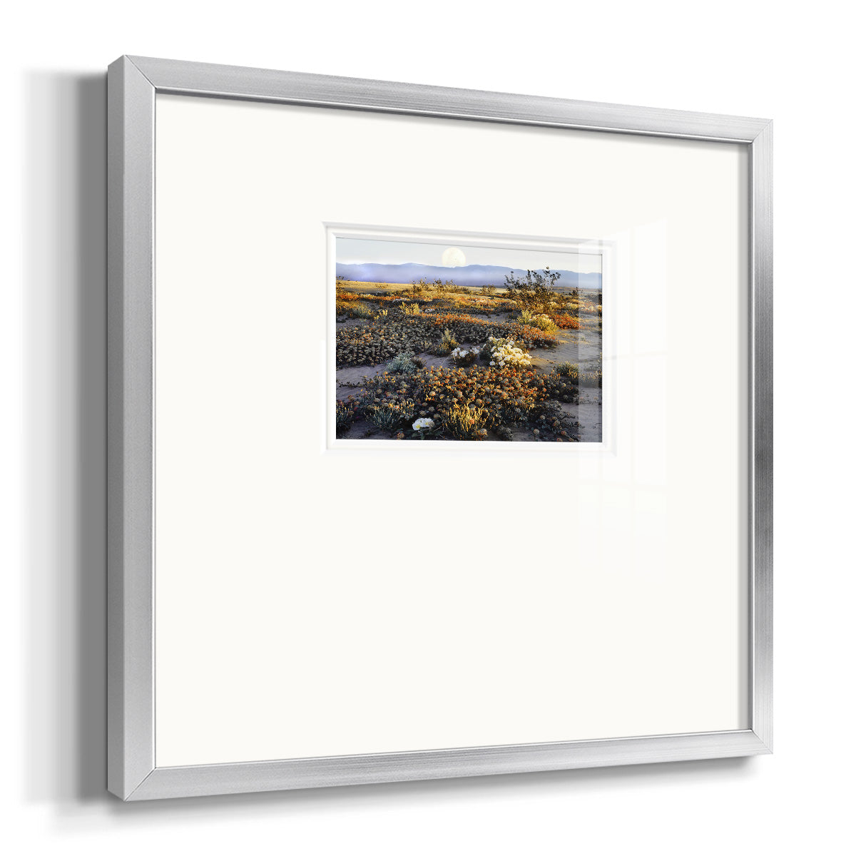 Anza Borrego Desert Premium Framed Print Double Matboard