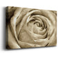 Neutral Wall Flower IV - Canvas Art Print
