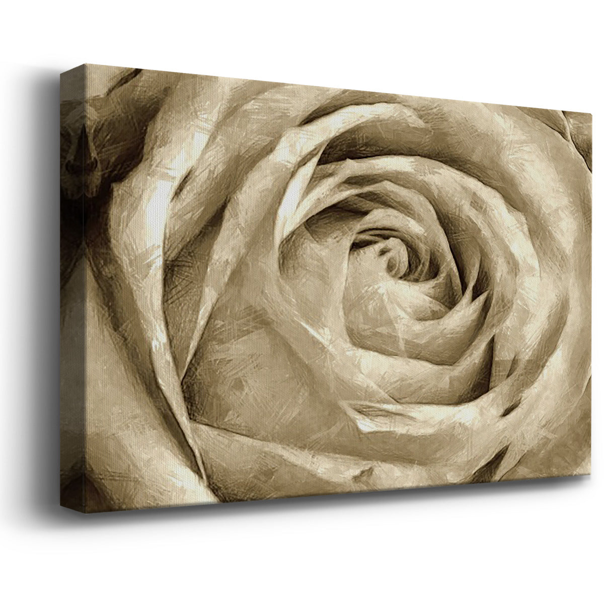 Neutral Wall Flower IV - Canvas Art Print