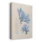 Blue Marine Algae V - Canvas Art Print