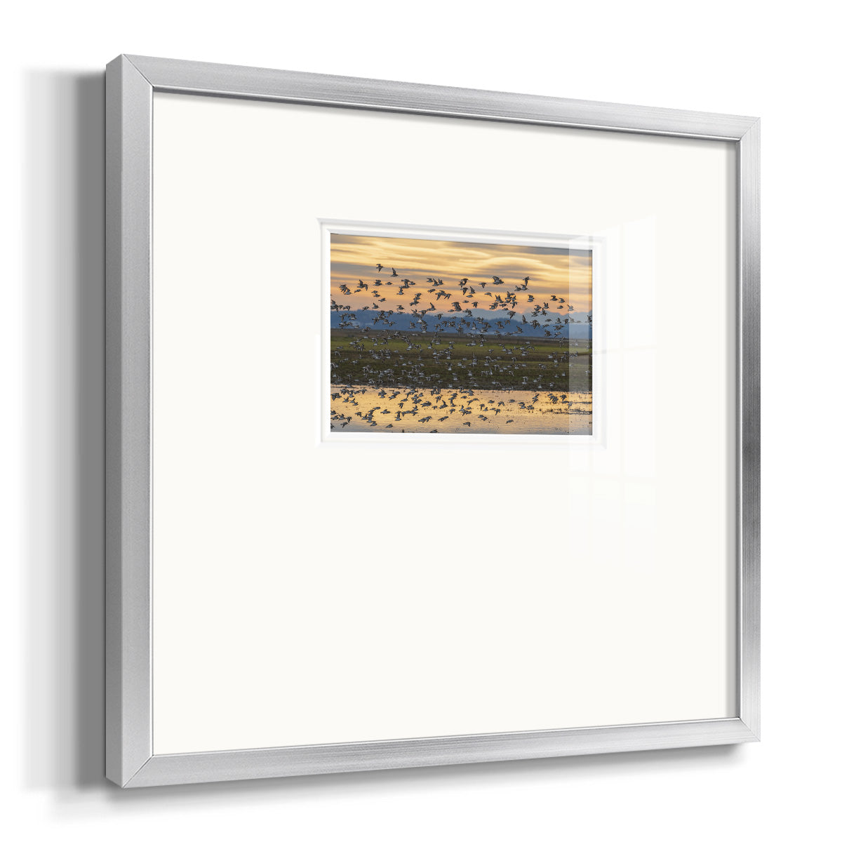 Sunset Flight Premium Framed Print Double Matboard