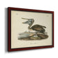 Audubons Brown Pelican - Ornate Framed Canvas Print