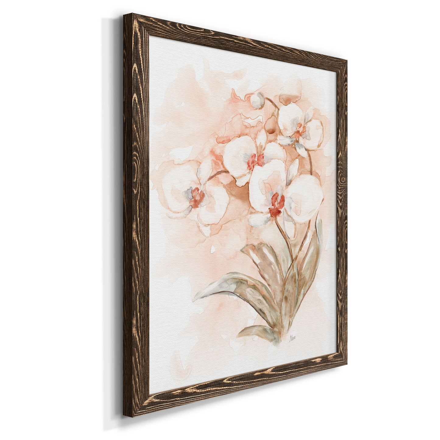 White and Coral Orchid II - Premium Canvas Framed in Barnwood - Ready to Hang