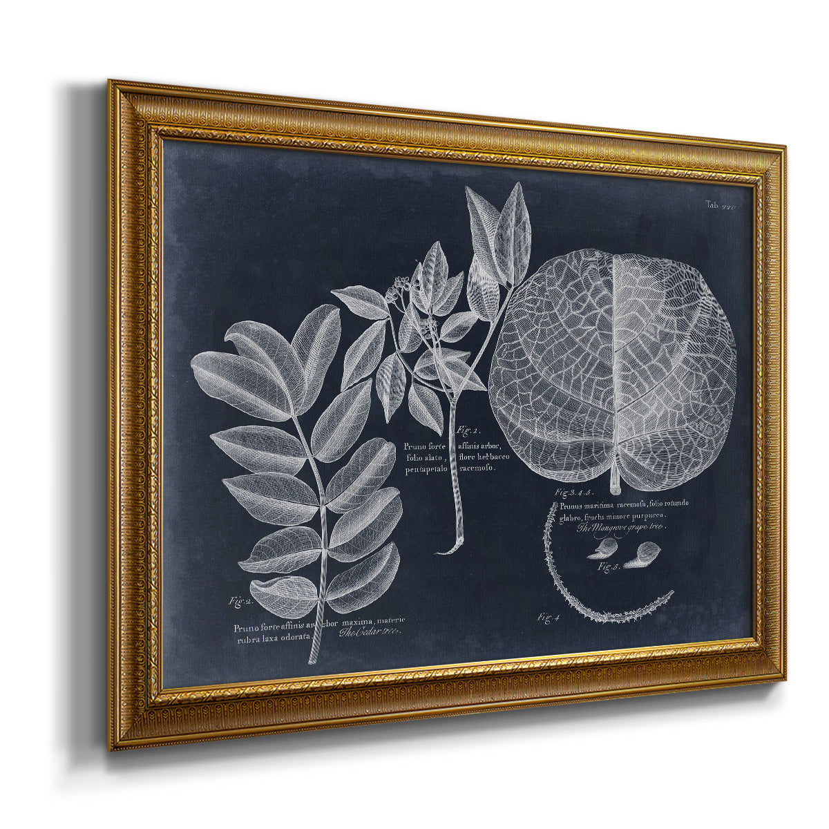 Foliage on Navy I Premium Framed Canvas- Ready to Hang