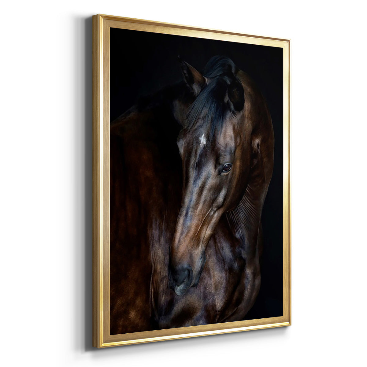 Sunlit Horses I - Modern Framed Canvas Print