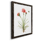 Wildflower Botanical III - Barnwood Framed Canvas Print