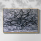 The Gray Tree, 1911 - Floater Framed Canvas Print