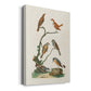 Antique Birds in Nature IV Premium Gallery Wrapped Canvas - Ready to Hang