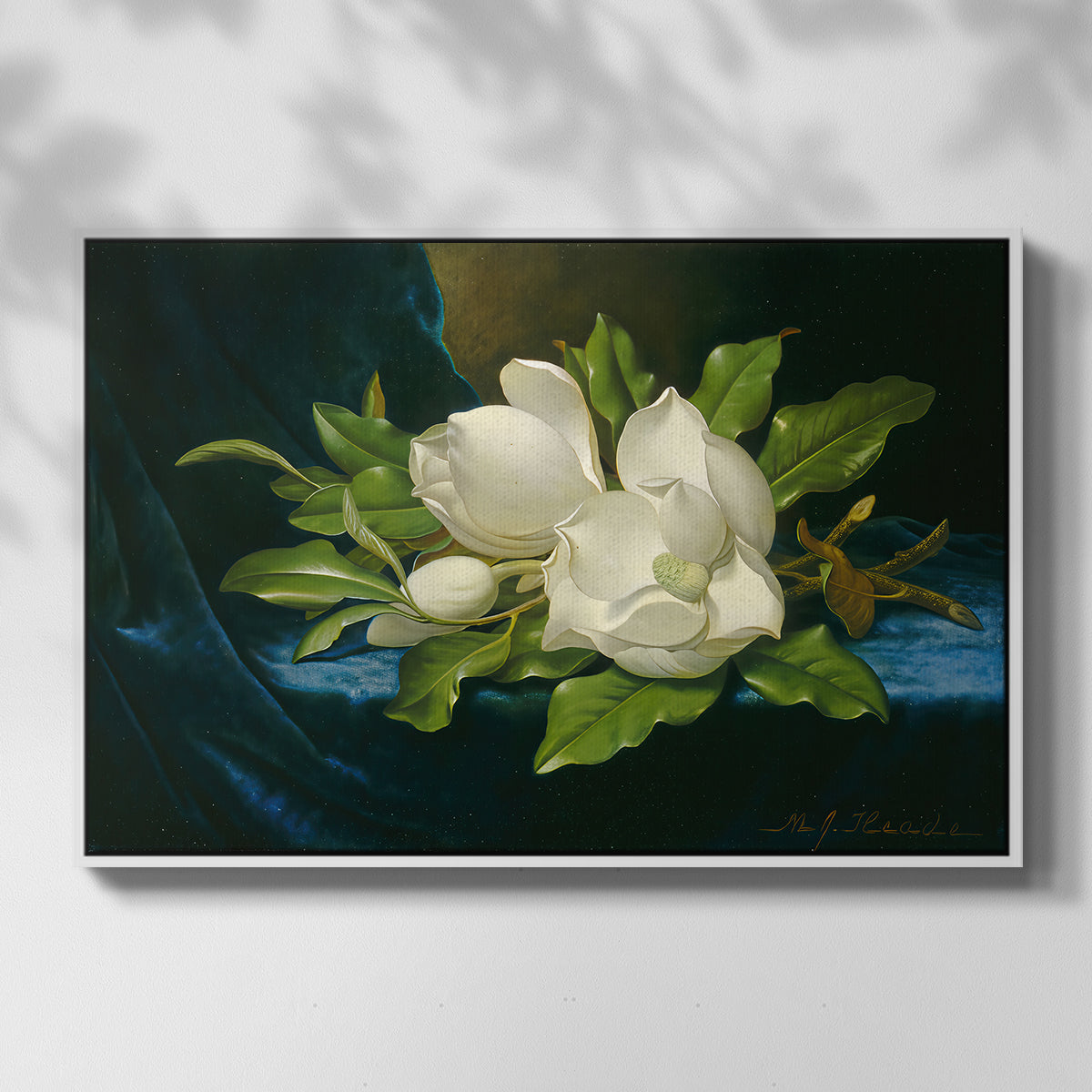 Giant Magnolias on a Blue Velvet Cloth, c. 1890 - Floater Framed Canvas Print