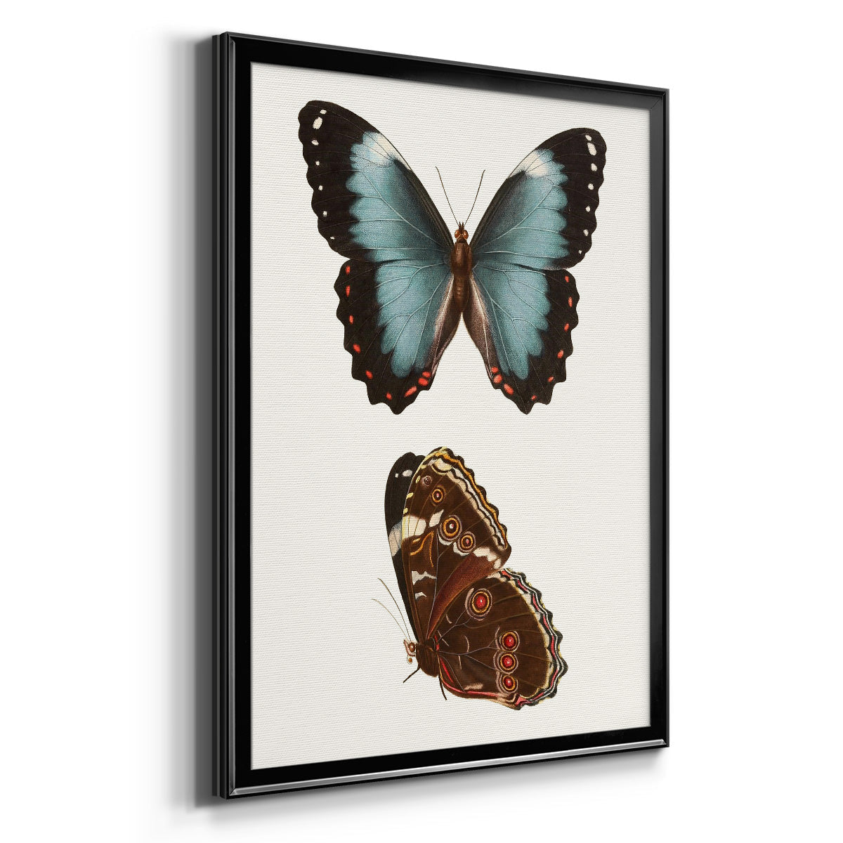 Antique Blue Butterflies IV - Modern Framed Canvas Print