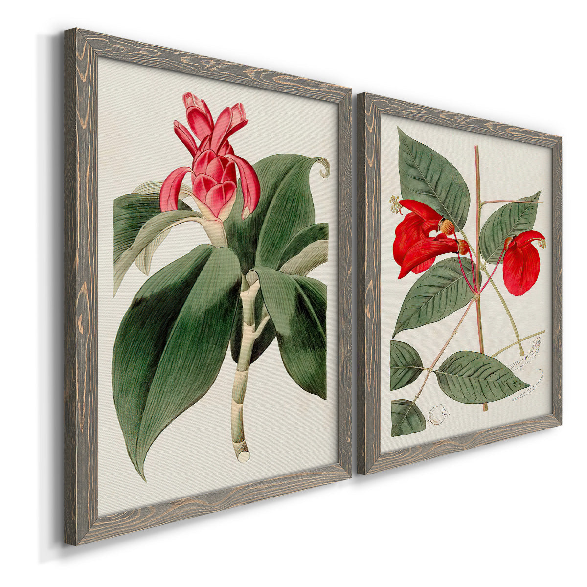 Flora of the Tropics I - Barnwood Framed Canvas Set