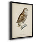 French Owls I - Modern Framed Canvas Print