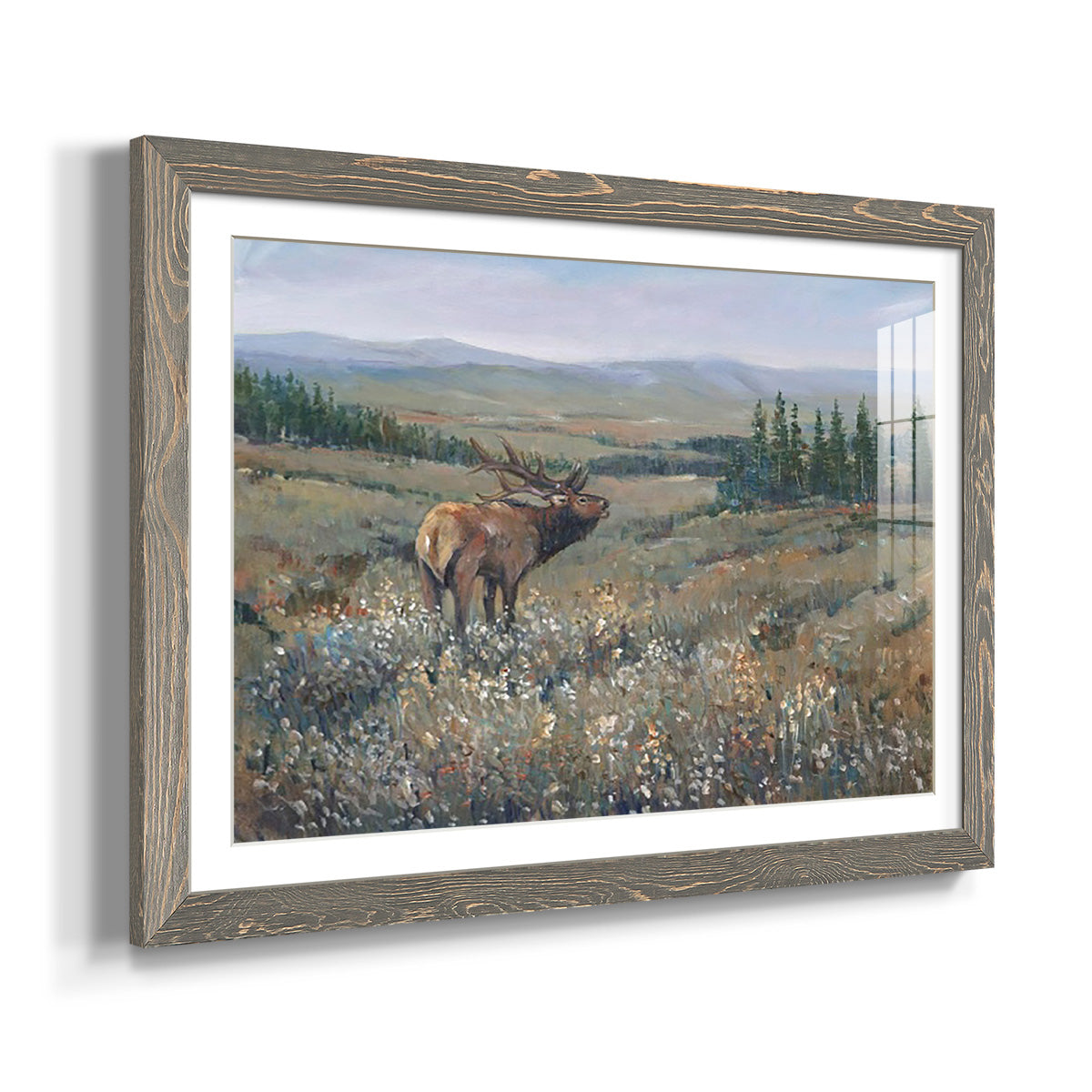 Western Wildlife I - Barnwood Framed Art Print