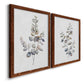 Eucalyptus I - Premium Framed Canvas 2 Piece Set - Ready to Hang