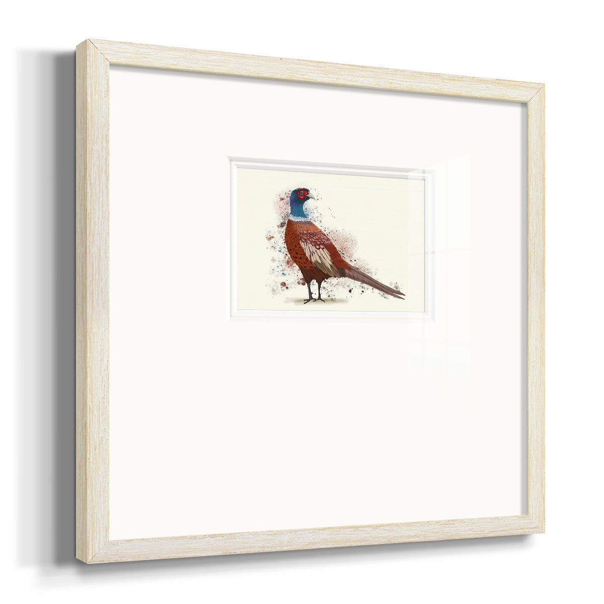 Pheasant Splash 5 Premium Framed Print Double Matboard