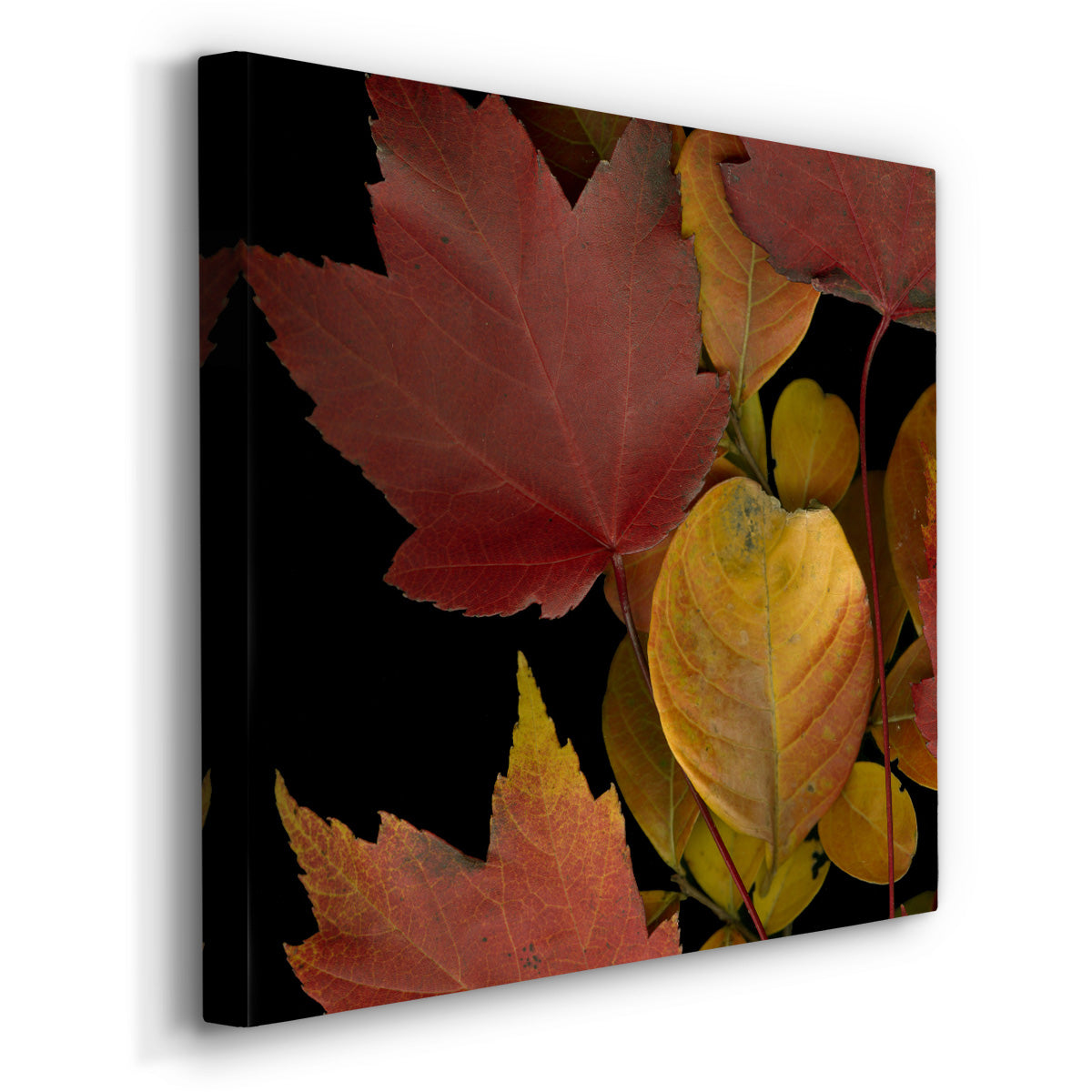 Small Vivid Leaves IV (ST) - Canvas Art Print