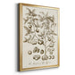 Sepia Botanical Journal II - Modern Framed Canvas Print