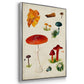 Mushroom Species IV - Framed Premium Gallery Wrapped Canvas L Frame 3 Piece Set - Ready to Hang